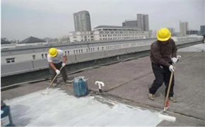 防水补漏 (2).jpg